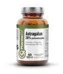Astragalus ( Traganek błoniasty) 20% polisacharydów, 60 kapsułek, Pharmovit