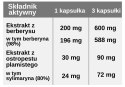 Berberyna Premium ekstrakt + Sylimaryna ekstrakt, 90 kapsułek, Yango