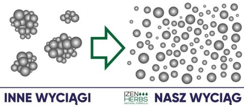 Ciało bez pasożytów - Vermis dla dzieci- ekstrakt, 50 ml, Izen Herbs Organis Ciało bez pasożytów - Vermis dla dzieci- ekstrakt, 50 ml, Izen Herbs Organis