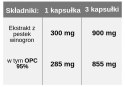 OPC 95% ekstrakt z pestek winogron, 90 wege kapsułek, Yango