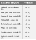 Nano Liver - Zdrowa Wątroba, 8 ekstraktów ziołowych, 50 ml, Sati Labs